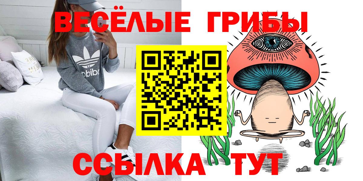 Тамбов  где купить наркоту  Вход с VPN  Псилоцибиновые грибы Psilocybe 